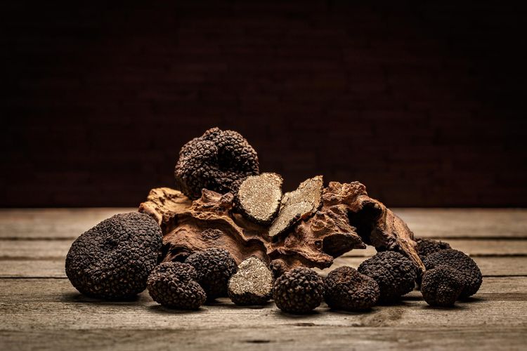 Ilustrasi jamur truffle. 