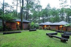 7 Tempat Wisata Hutan Pinus di Lembang, Suasana Rindang dan Sejuk