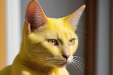Kucing Modern Mungkin Terbentuk dari Ritual Mesir Kuno, Mengapa?