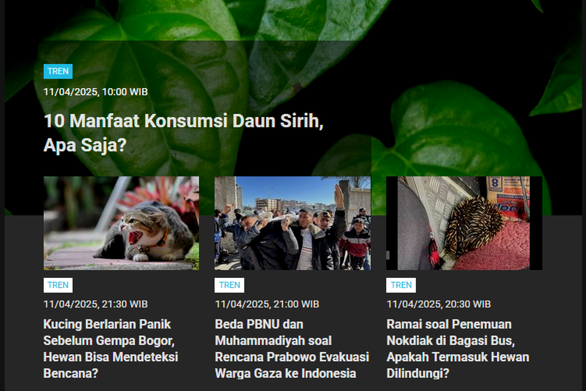 Popuer Tren 12/4/2025