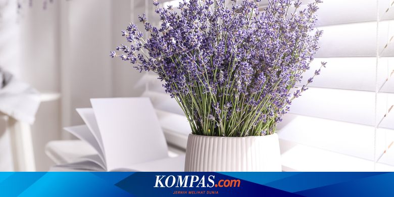 10 Tanaman Pengusir Nyamuk, Mudah Ditanam di Rumah