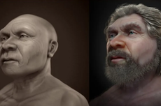 Tes DNA, Pria Ini Masih Keturunan Neanderthal yang Punah 40.000 Tahun Lalu