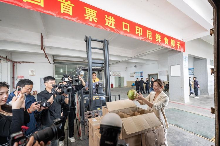 Proses bea cukai untuk pengiriman pertama kelapa segar yang diimpor dari Indonesia di Pelabuhan Fuzhou. 