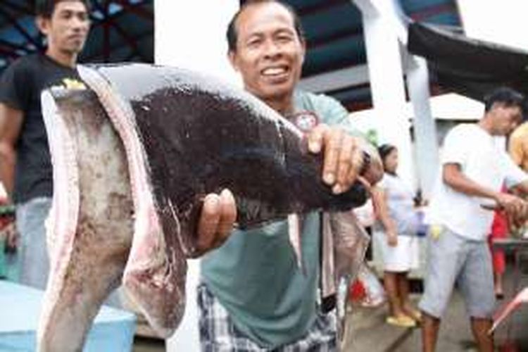 Seorang pedagang ikan sedang memperlihatkan sirip hiu di pasar tradisional Tagulandang, Kabupaten Sitaro, Sulawesi Utara, Sabtu (25/5/2013). Perairan Sulawesi Utara kerap dijadikan tempat berburu ikan hiu. Hasil tangkapan diolah dan dijual kembali dengan harga tinggi.