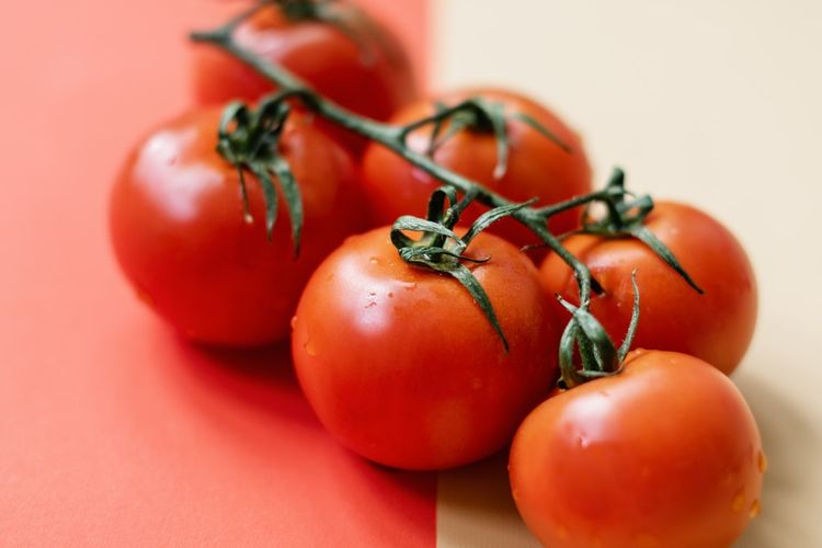 Ilustrasi tomat, buah tomat. 
