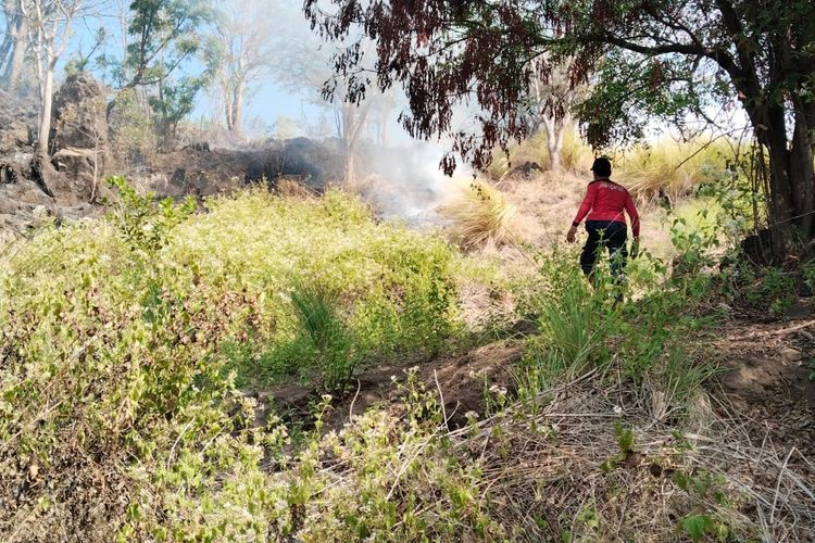 4 Hektare Lahan di Karangasem Terbakar, Nyaris Hanguskan Rumah dan Ternak Warga