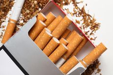 Apindo Sebut Potensi Dampak Kemasan Polos Rokok, Produksi Legal Turun hingga Pengurangan Tenaga Kerja