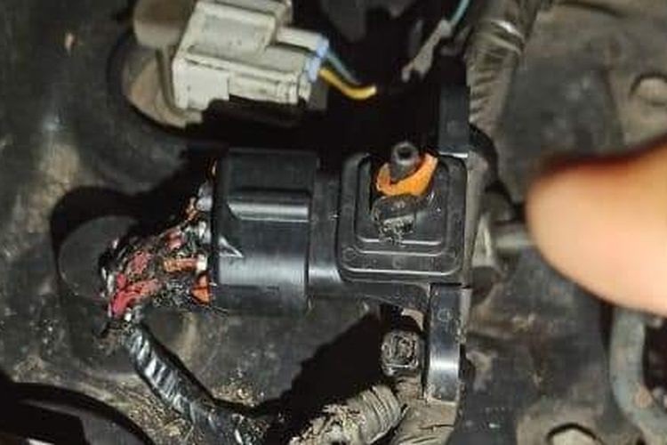 Kabel-kabel kelistrikan mobil putus akibat digigit tikus