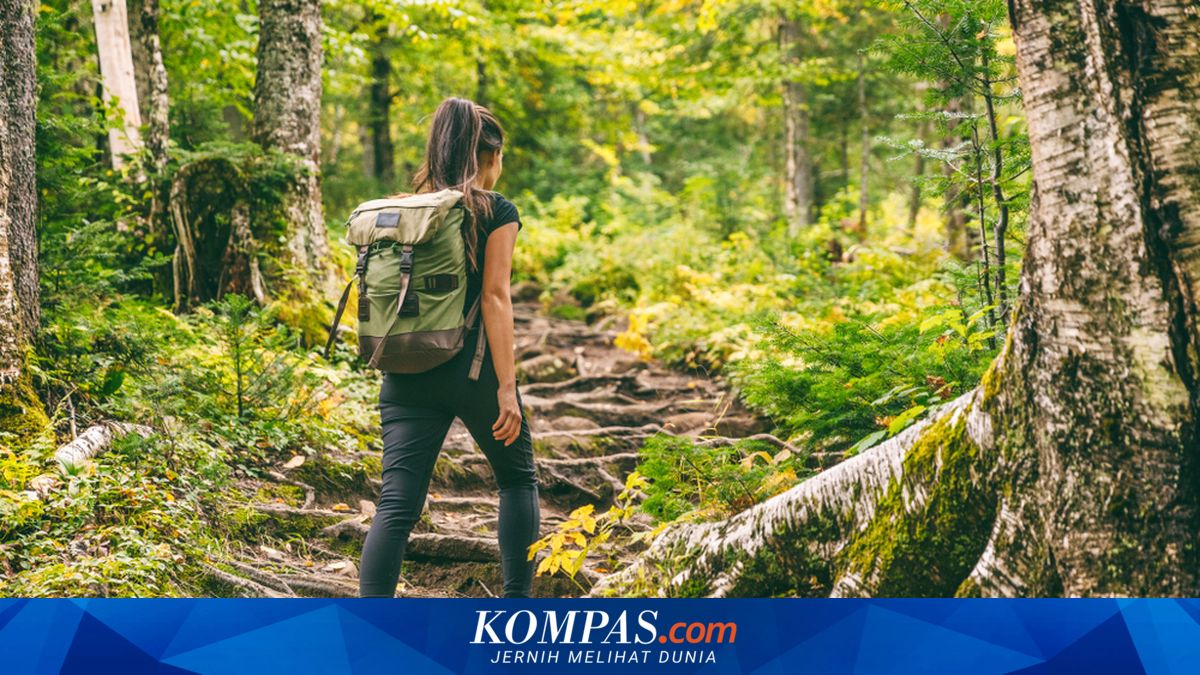 Pendakian demi Konten Marak, Malaysia Perketat Aturan di 189 Lokasi Berisiko