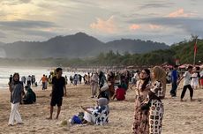 Polisi Hentikan Pembalakan Hutan di Pesisir Barat Lampung, 3 Orang Ditangkap
