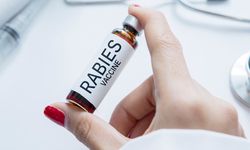 Pahami Gejala Rabies yang Harus Diwaspadai