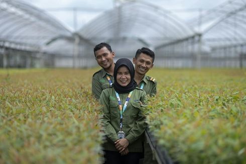 Menengok Kontribusi APRIL Group, 30 Tahun Salurkan Kebutuhan Pulp dan Kertas Dunia