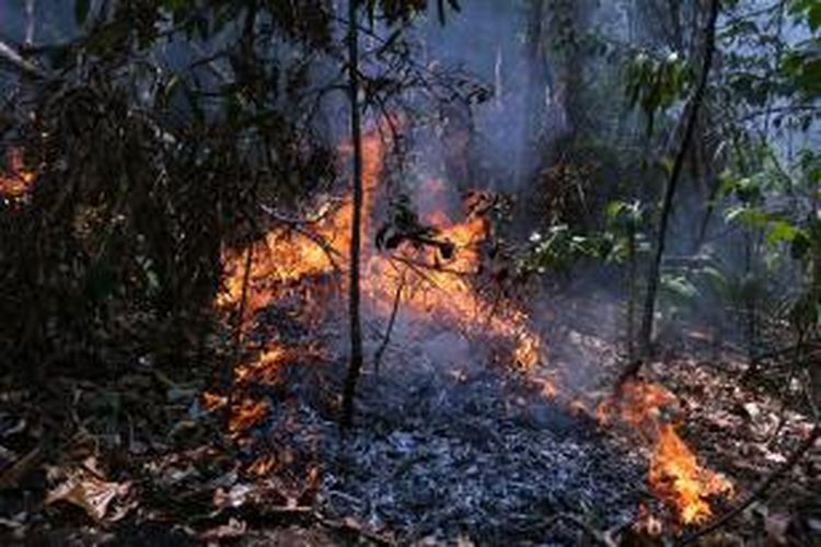 Api menghanguskan ratusan hektar lahan di Taman  Wisata Batu Putih dan Cagar Alam Tangkoko, Bitung, Sulawesi Utara.