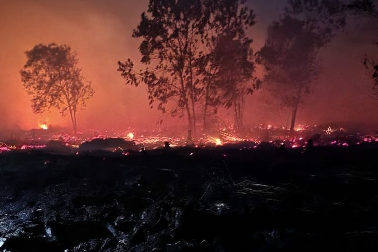 Kubu Raya Tetapkan Status Tanggap Darurat Asap, Karhutla Meningkat di Musim Kemarau