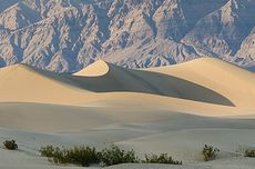 Top 3 News: Mata Elang Kembali Resahkan Warga Depok, Pengendara Mobil jadi Korban Penganiayaan