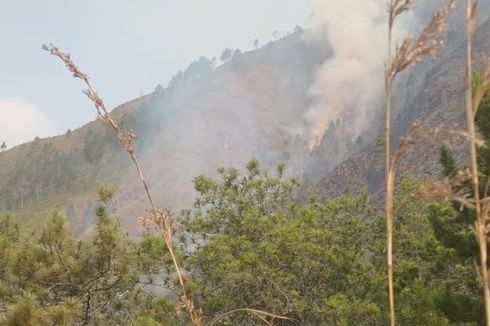 Kebakaran di Gunung Andong Magelang Akhirnya Padam Setelah Tiga Hari, Ada 11 Titik Api