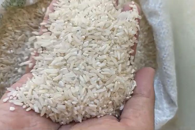 Beras Banpang Ditolak Kades di Bangkalan, Bulog Ganti yang Lebih Bagus