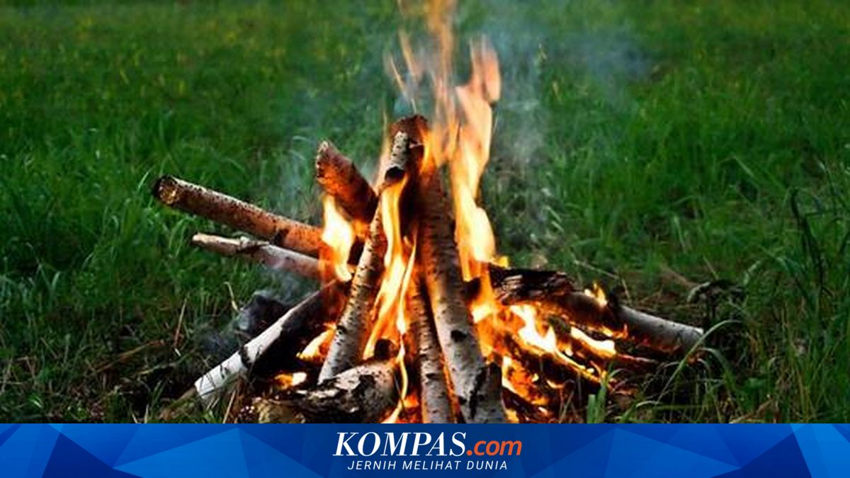 Manusia Menggunakan Api sejak 1 Juta Tahun Lalu
