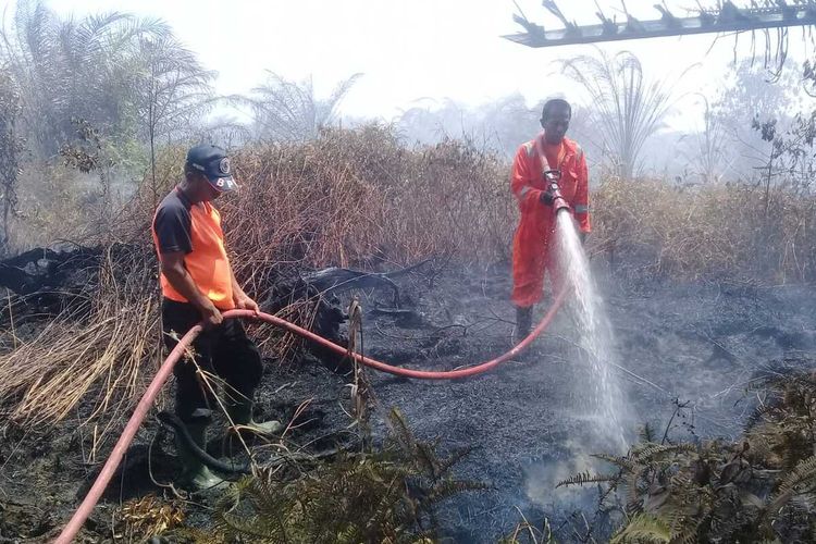 Lahan sawit milik warga di Agam kembali terbakar. Terlihat petugas sedang memadamkan api