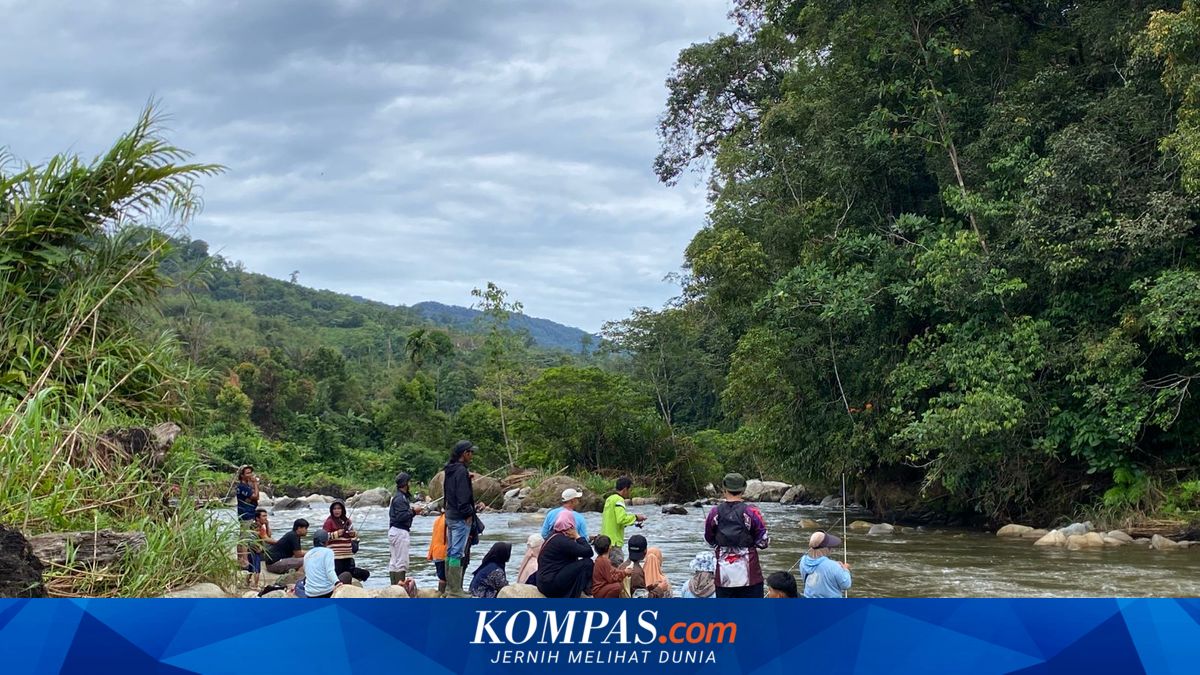 Tradisi Lubuk Larangan Rantau Kermas, Bukti Nyata Kekuatan Konservasi ...
