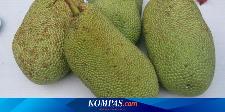 Buah Nangka Dan Cempedak Jadi Satu