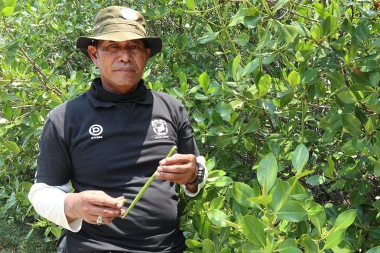 Usaha Slaman menyelamatkan mangrove di pesisir Madura sempat ditentang warga. Ia kerap mendapat ancaman hingga teror karena aktivitasnya melestarikan lingkungan. Namun Slaman pantang menyerah dan upayanya mengubah pola pikir warga berbuah hasil.