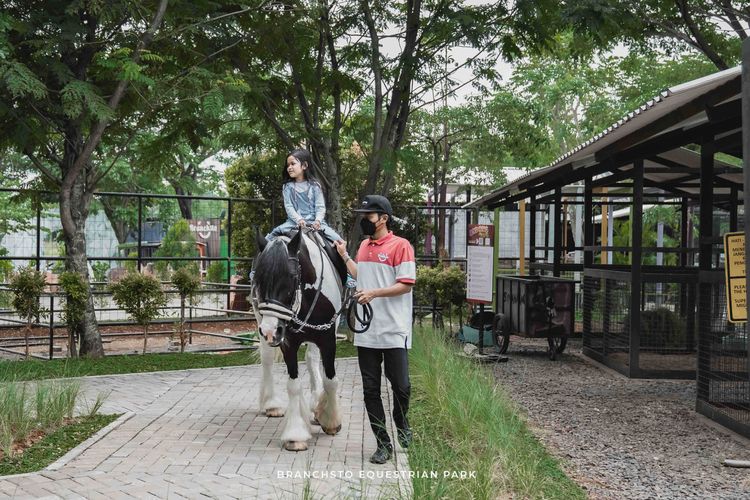 Ilustrasi salah satu aktivitas berkuda di Branchsto Equestrian Park di BSD, Tangerang Selatan, Banten.