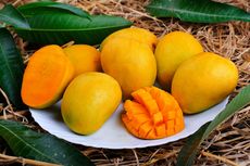 9 Fakta Menarik Mangga, Buah Tropis Asal India