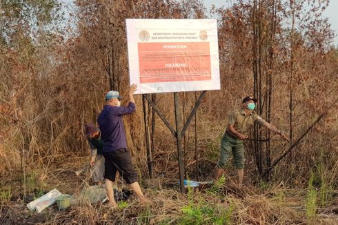 Lagi, KLHK Segel 2 Lahan Terbakar Milik Perkebunan Sawit 