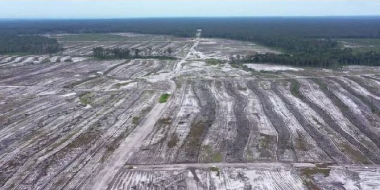 Kebun singkong seluas 600 hektare di Desa Tewai Baru, Gunung Mas, Kalimantan Tengah, mangkrak