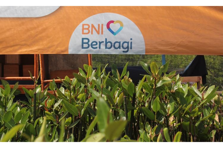 Hari Mangrove Sedunia, BNI Perkuat Komitmen Pelestarian Lingkungan dan Ekonomi Pesisir