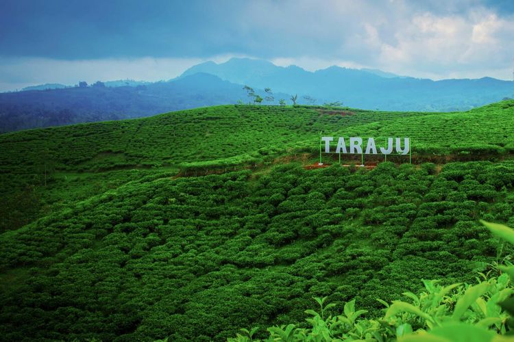 Desa Wisata Taraju, Tasikmalaya, Jawa Barat