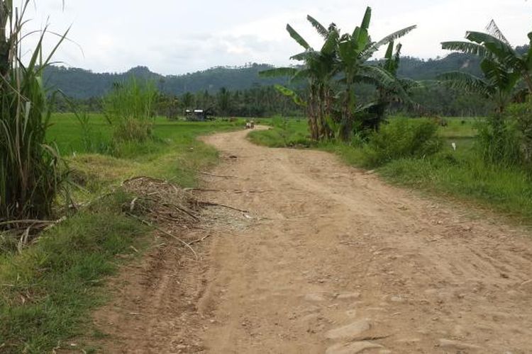 Akses masuk menuju Pantai Sendiki di Kecamatan Sumbermanjing Wetan, Kabupaten Malang, Jawa Timur, Minggu (8/1/2017). Jalan tak beraspal itu sepanjang satu kilometer.