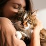 Cara Menggendong Kucing dengan Benar, Jangan Sembarangan