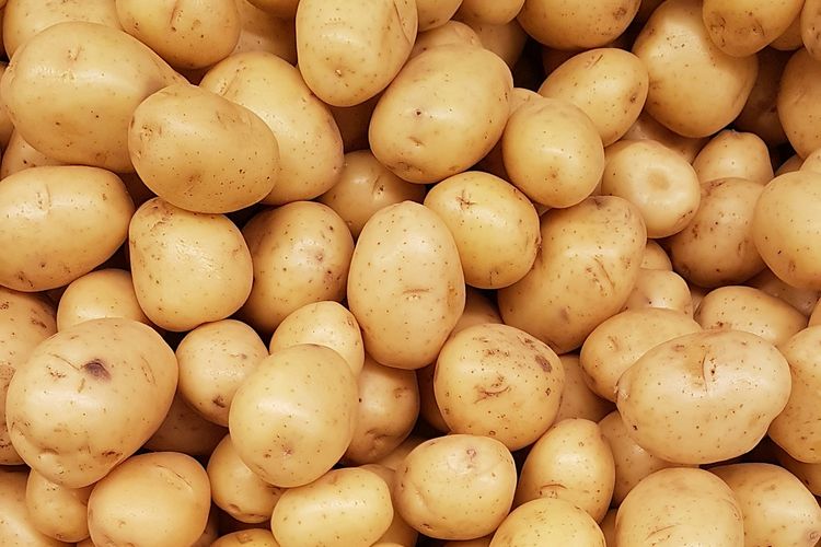 Kadar karbon dioksida (CO2) yang meningkat membuat makanan lebih tinggi kalori, tapi kehilangan nutrisi penting menurut riset terbaru.