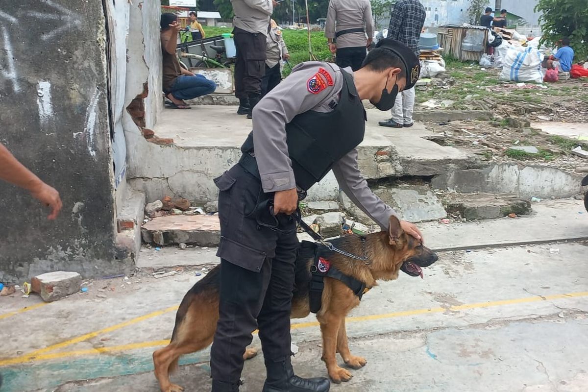 Dua ekor anjing pelacak atau K9, turut serta dalam penggerebekan kampung rawan peredaran narkoba di Kota Bambu Selatan atau biasa disebut Kampung Boncos, di Palmerah, Jakarta Barat, pada Jumat (18/11/2022) sore.