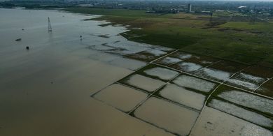 Foto udara jalan desa dan sawah yang terendam banjir dan tak bisa dilalui di Desa Karangligar, Kecamatan Telukjambe Barat, Karawang, Jawa Barat, Rabu (10/2/2021). Selain curah hujan yang tinggi, luapan Sungai Citarum dan Sungai Cibeet yang merendam areal persawahan sejak Minggu (7/2/2021) tersebut mengakibatkan sebagian besar tanaman padi siap panen rusak dan terancam gagal panen.