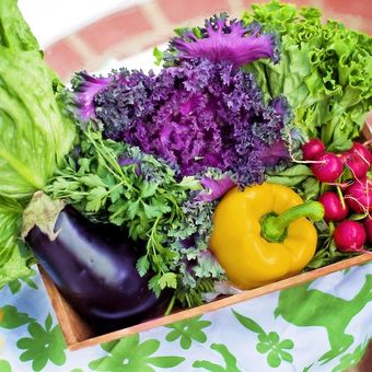 Jika berlebihan dikonsumsi, beberapa sayuran bisa menaikkan berat badan.