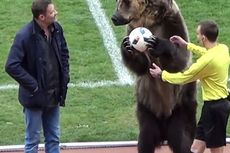 Bawa Beruang ke Lapangan, Klub Rusia Dikecam Kelompok Pelindung Hewan