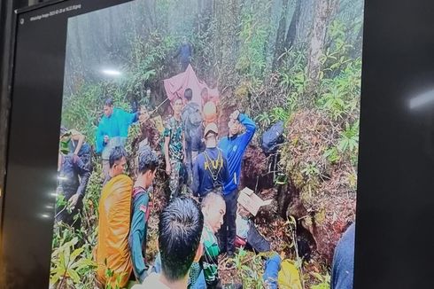 3 Penyebab Evakuasi Kapolda Jambi dari Hutan Kerinci Beberapa Kali Gagal