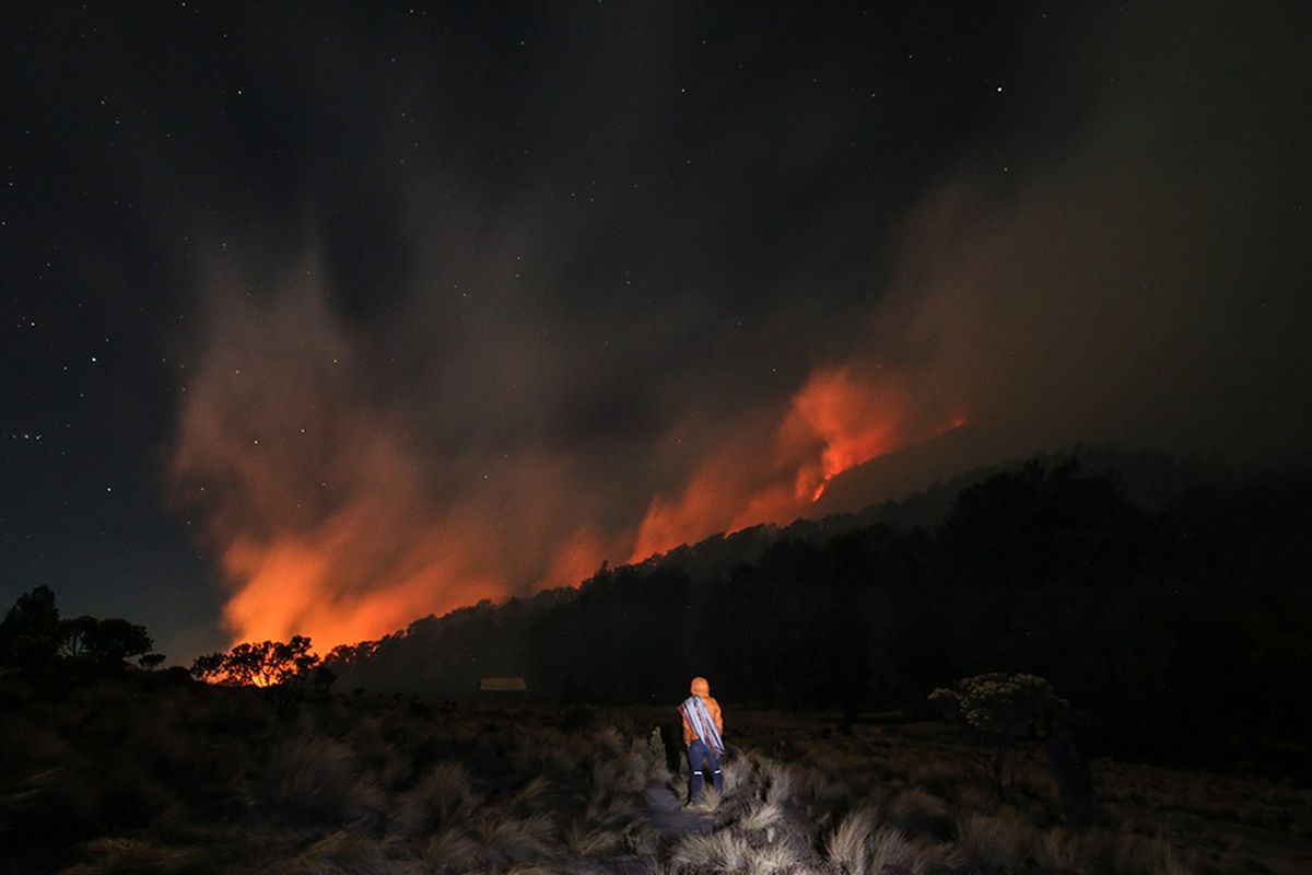 Petugas memantau kebakaran hutan yang melanda Gunung Semeru terlihat dari Kalimati, Lumajang, Jawa Timur, Kamis (19/9/2019). Akibat kejadian ini pendakian ke Gunung Semeru ditutup sementara.