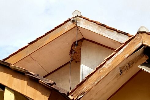 Sarang Tawon Vespa Menempel di Atap Rumah, Warga Serpong Utara Was-was