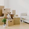 5 Cara Mencegah Hewan Peliharaan Stres Saat Pindah Rumah