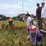 Sragen Ditargetkan Jadi Penyumbang Beras Terbesar di Solo Raya, Capai 30 Ribu Ton