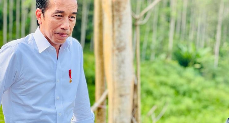 Soal Jokowi Bakal "Groundbreaking" di IKN, Otorita: Beliau Enggak Sreg yang Begituan