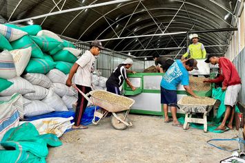 LPDB Salurkan Pembiayaan ke KDKMP Sidomulyo Jember untuk Dukung Ekspor Kopi