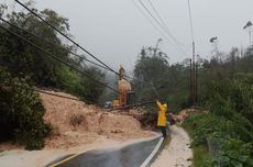 Sepuluh Tahun Jadi Risa, Prilly Latuconsina Akui Tolak Semua Tawaran Film Horor Lain