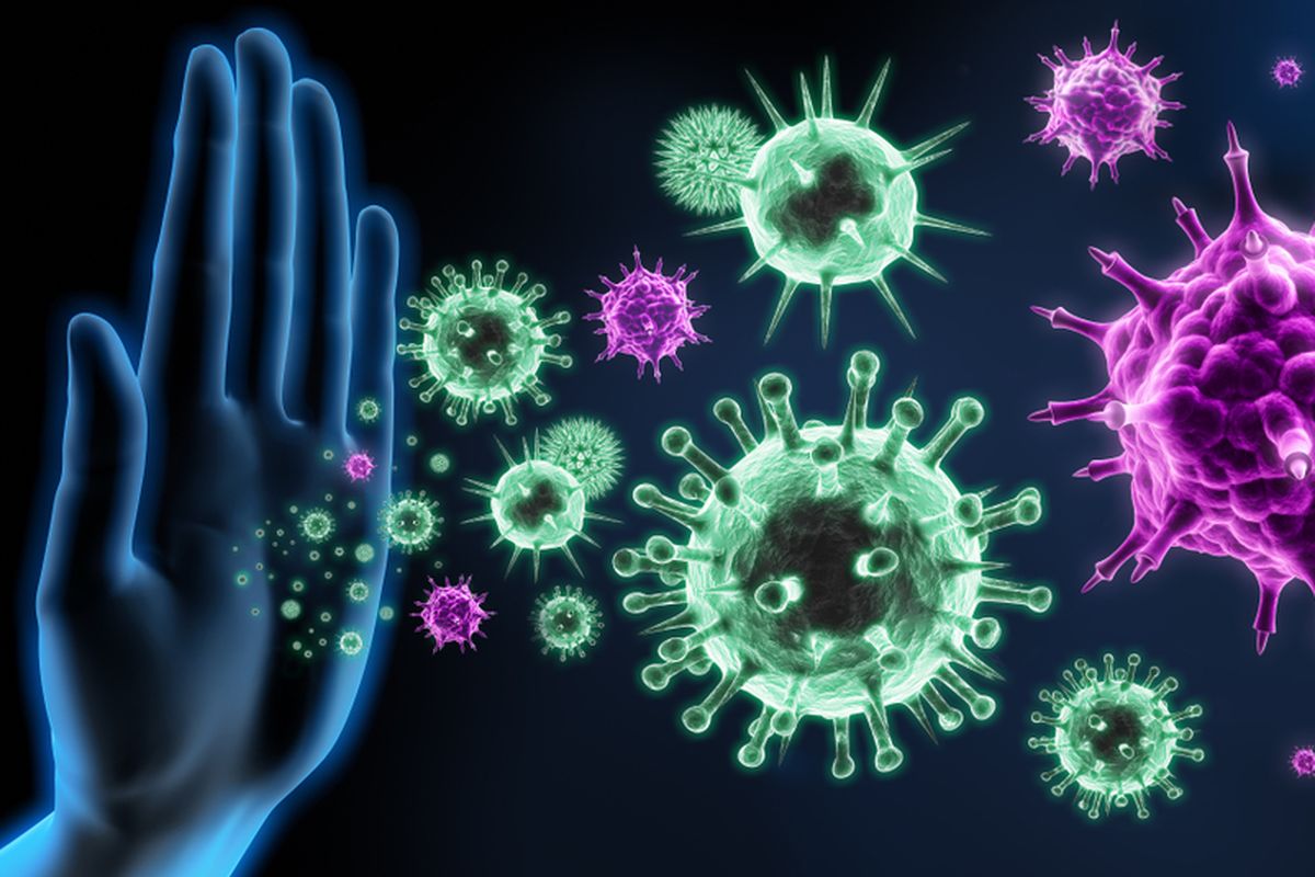 Ilustrasi sistem kekebalan tubuh melawan serangan infeksi dari virus corona, maupun bakteri, jamur, parasit maupun berbagai virus lain.