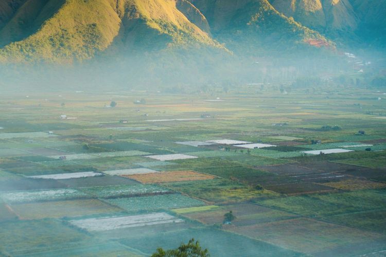 Apa Itu Fenomena Bediding? Penyebab Udara Dingin yang Melanda Sejumlah Wilayah di Indonesia