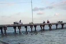 Video Viral Nelayan Buang Sampah ke Laut di Pelabuhan Pamekasan